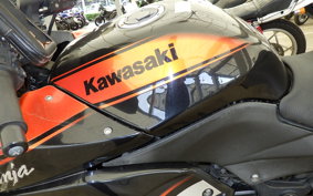 KAWASAKI NINJA 250R 2009 EX250K