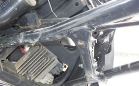 OTHER CAN-AMﾗｲｶｰ900 2019