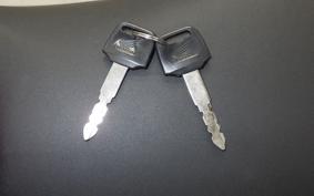 HONDA HORNET 250 MC31