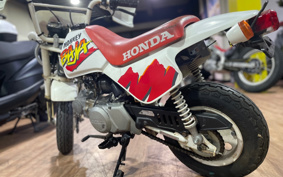 HONDA MONKEY Z50J