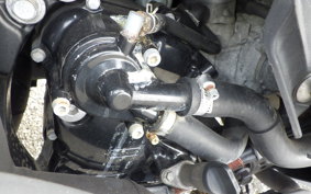 YAMAHA MAJESTY 250 SG20J