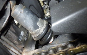 KAWASAKI NINJA 250 EX250L