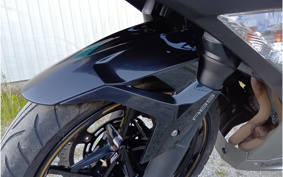 KAWASAKI NINJA 250 EX250P