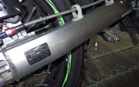 KAWASAKI KLX250D TRACKER X LX250V