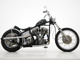 Фото Harley Kit Bike 2023 с японского аукциона