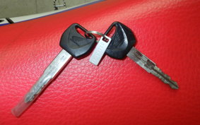 HONDA CRF250 RALLY LD