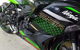 KAWASAKI NINJA ZX-25R ZX250E
