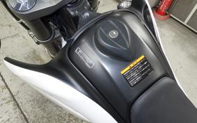 YAMAHA WR250X 2009 DG15J