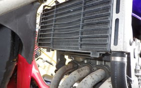 HONDA HORNET 250 MC31