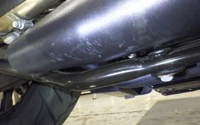 HARLEY XL883N 2021