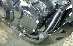 SUZUKI V-STROM 250