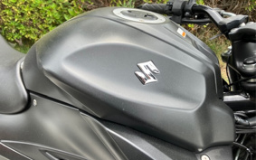 SUZUKI JIKUSA-250 ED22Y