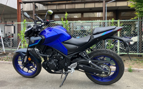YAMAHA MT-25 RG74J