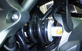 YAMAHA MT-07 2024 RM33J