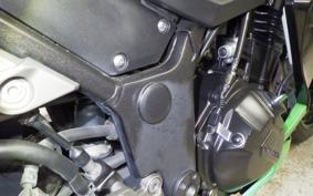 KAWASAKI Z300 2022