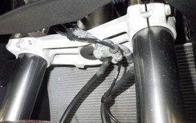 KAWASAKI NINJA 1000 SX 2023 ZXT02K