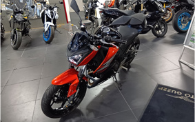 KAWASAKI Z250 ER250C