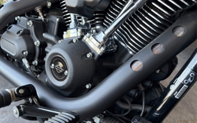 HARLEY FXLRS 2022 YWZ