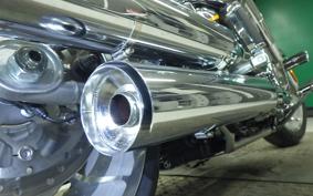 HARLEY FLSTFI1920 2025