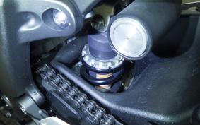 KAWASAKI NINJA ZX-6R A 2025 ZX636J