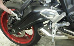 TRIUMPH TRIDENT 660 2025