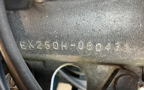 KAWASAKI ZZ-R250 EX250H