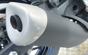 YAMAHA YZF-R25 RG74J