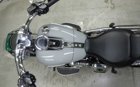 HARLEY FLFB1920 2025