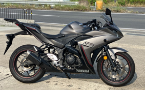YAMAHA YZF-R25 RG10J