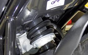 YAMAHA FZS25A