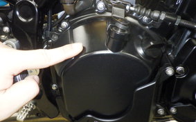 KAWASAKI Z900RS 2023 ZR900K