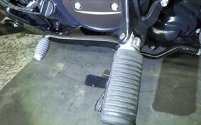 HARLEY RH1250S 2022