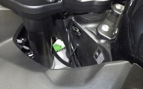 KAWASAKI NINJA 1000 SX 2023 ZXT02K