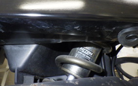 YAMAHA TW225 2025 DG09J