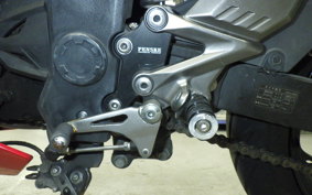 KAWASAKI NINJA 250 SL