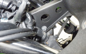 KAWASAKI NINJA 250R EX250K