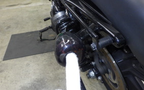 HARLEY XL883N 2017