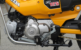 HONDA CT125 HUNTER CUB JA65