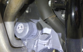 HONDA CB1300SF SUPER FOUR Gen. 3 2024 SC54