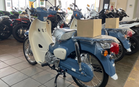 HONDA SUPER CUB50 AA09