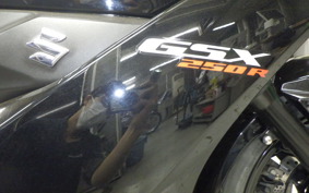 SUZUKI GSX250R 2021