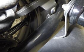 TRIUMPH SPEED TWIN 2019