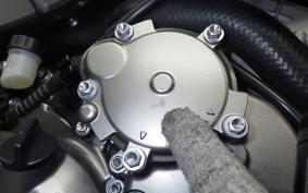 KAWASAKI NINJA ZX-6R A 2019 ZX636G