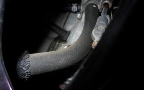 SUZUKI SKYWAVE 400 Gen.2 2004 CK43A