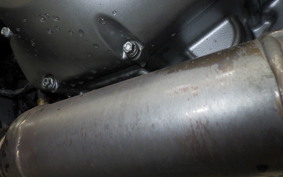 HARLEY ﾊﾟﾝ AMERICA1250S 2021