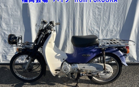 OTHER C110 PRO 
