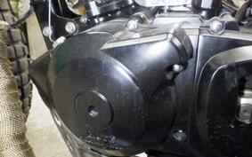 OTHER MUTT250