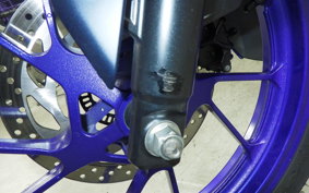 YAMAHA YZF-R15 2006 RG86J