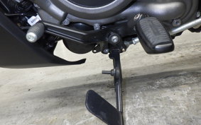 HARLEY RH975S 2024