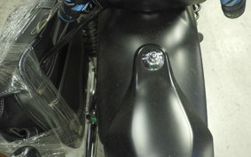KAWASAKI W800 CAFE 2021 EJ800B